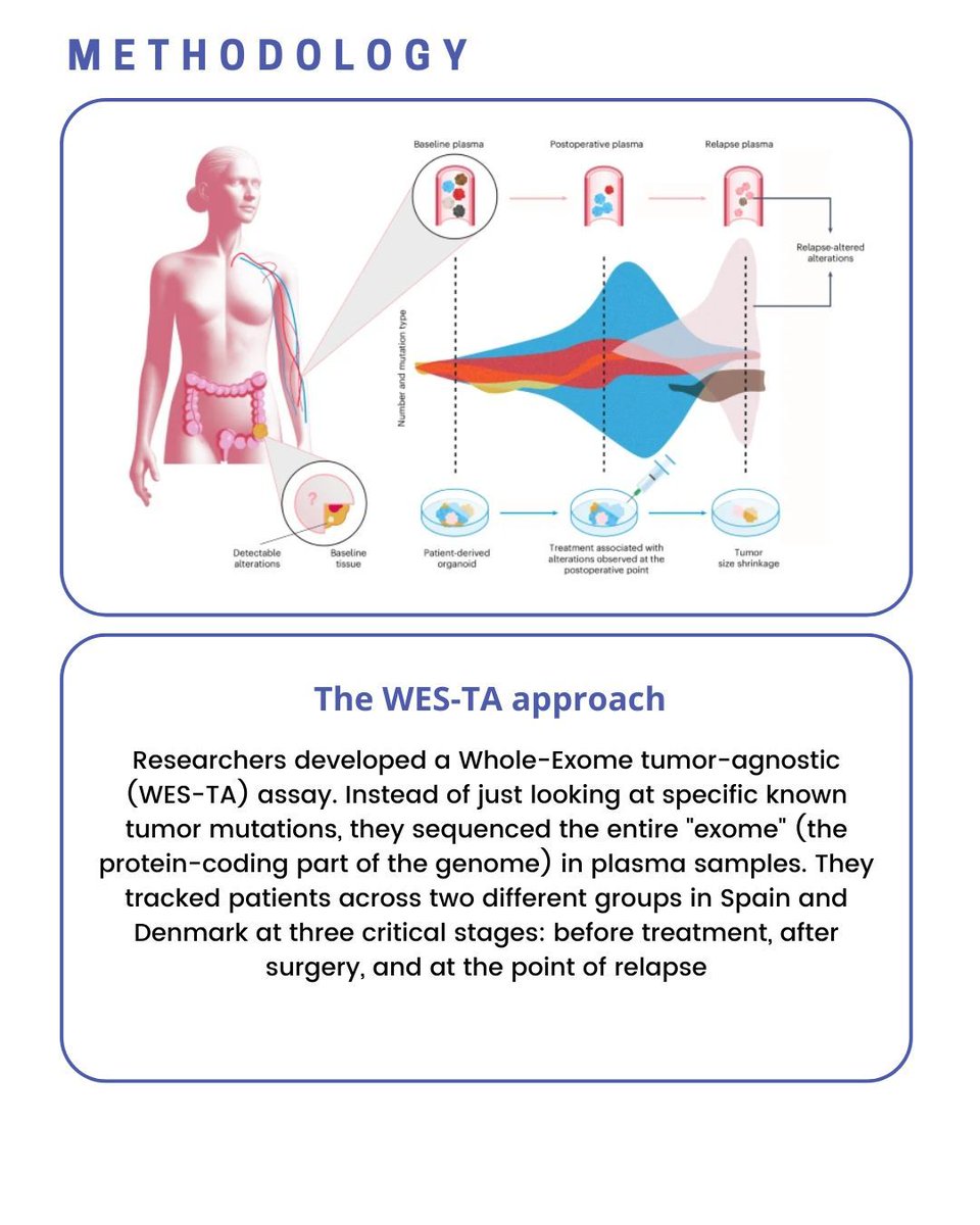 RSGSpain's tweet photo. What if we could detect colon cancer relapse before it’s clinically visible?
Whole-exome, tumor-agnostic ctDNA profiling dramatically improves MRD detection, reveals immune evasion in MSS colon cancer, and opens the door to precision therapies guided by patient-derived organoids. https://t.co/H0eLlCRhoF
