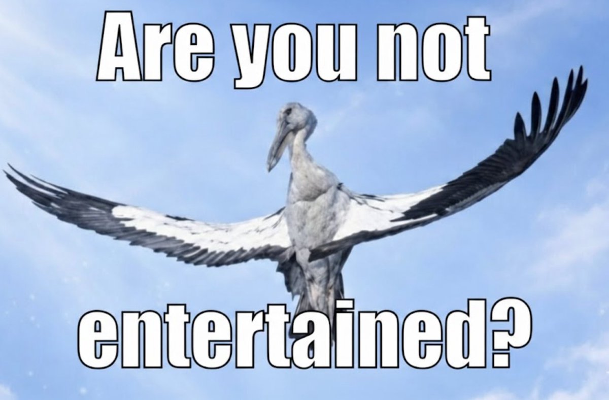 0xbruhmode's tweet image. 