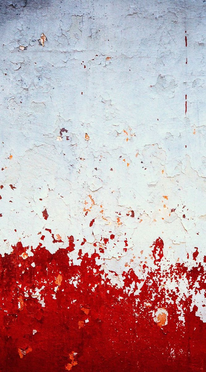 Rough Draft © tweet media