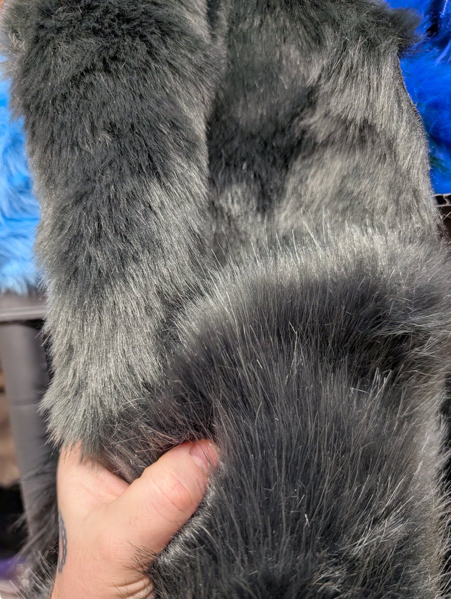 Go Fur It tweet media