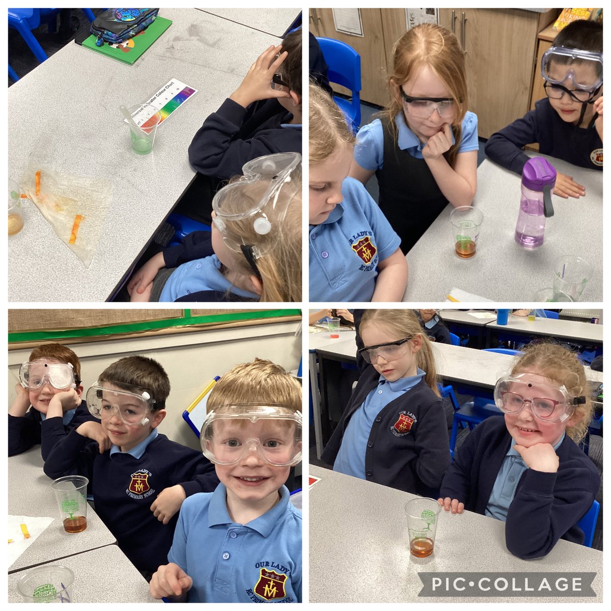 Year 1 at Our Lady's tweet media