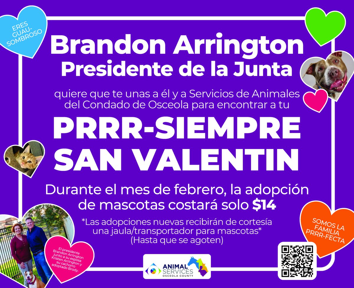 Adopta por solo $14 en el mes del amor <a href="/OsceolaCountyFl/">Osceola County</a>