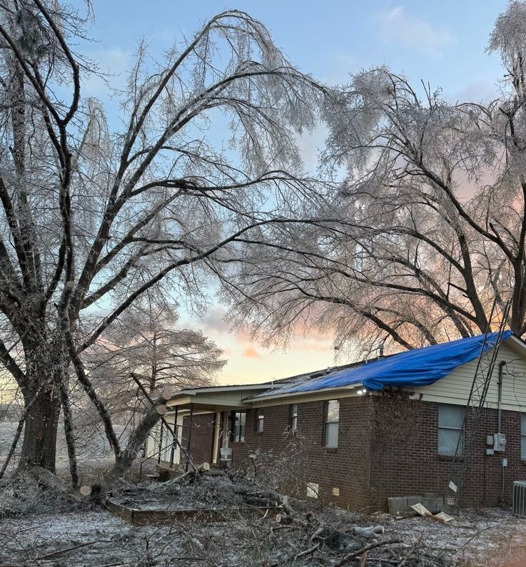 SERVPRO of Tupelo and Amory/Aberdeen & West Point tweet media