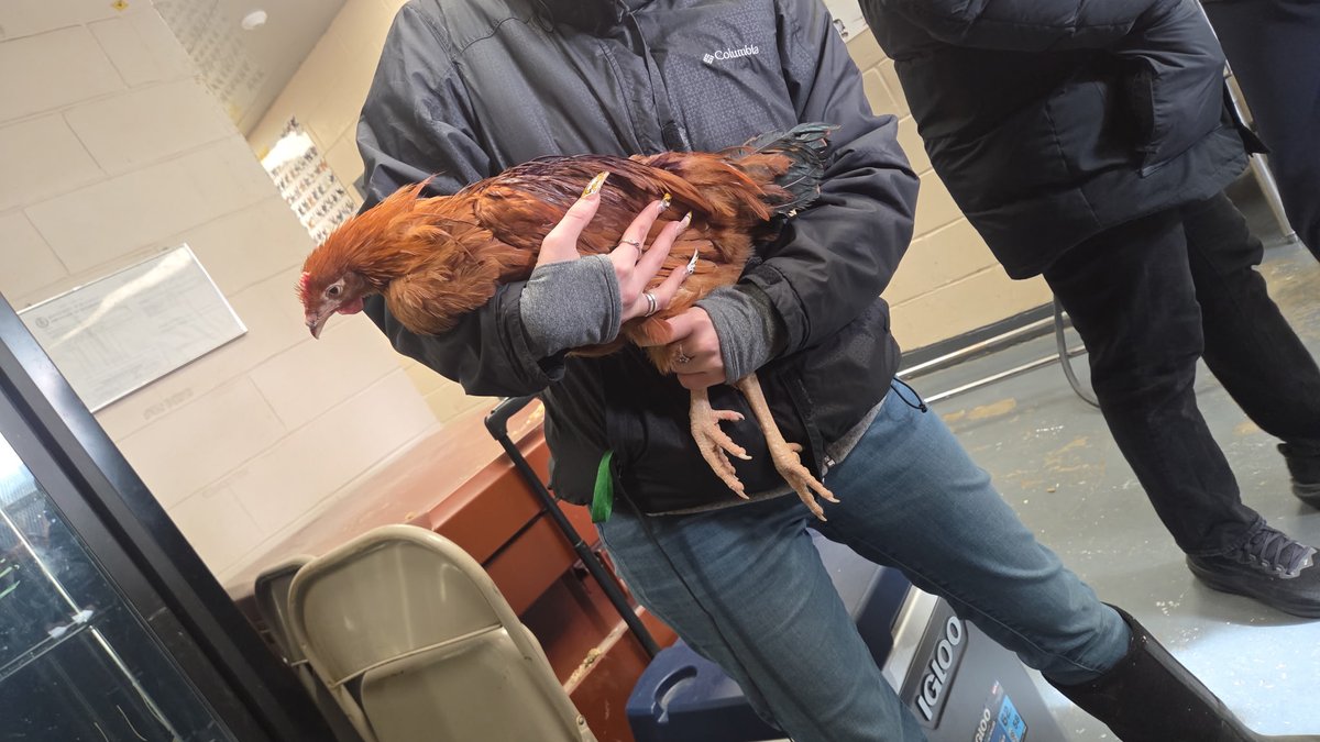 Health, Arts, Robotics and Technology HS tweet media