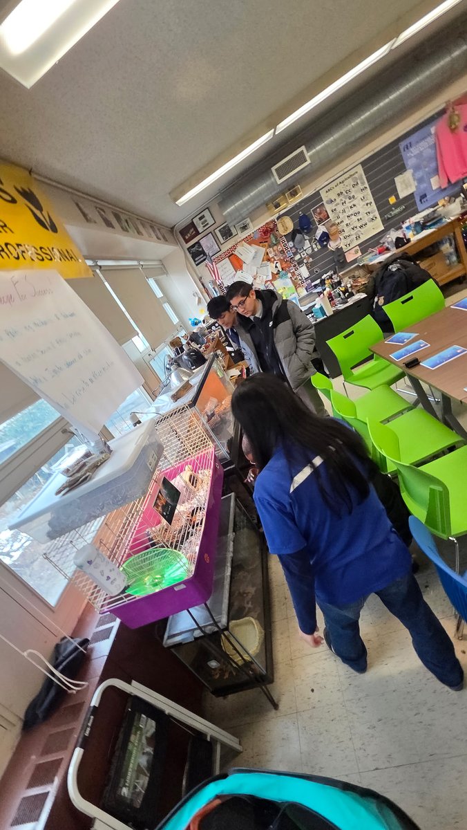 Health, Arts, Robotics and Technology HS tweet media