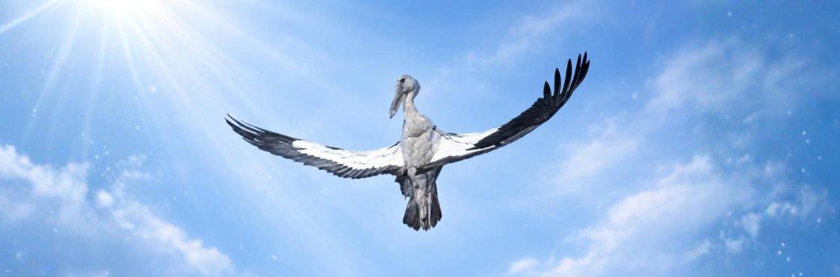 CryptBrice's tweet image. Soon you'll have to crane your neck up to see the top of these candles! $CRANE

Low-cap Solana gem quietly heating up. Liquidity in, chart waking up, eyes coming fast 🔥🔥

dexscreener.com/solana/6canbx5…