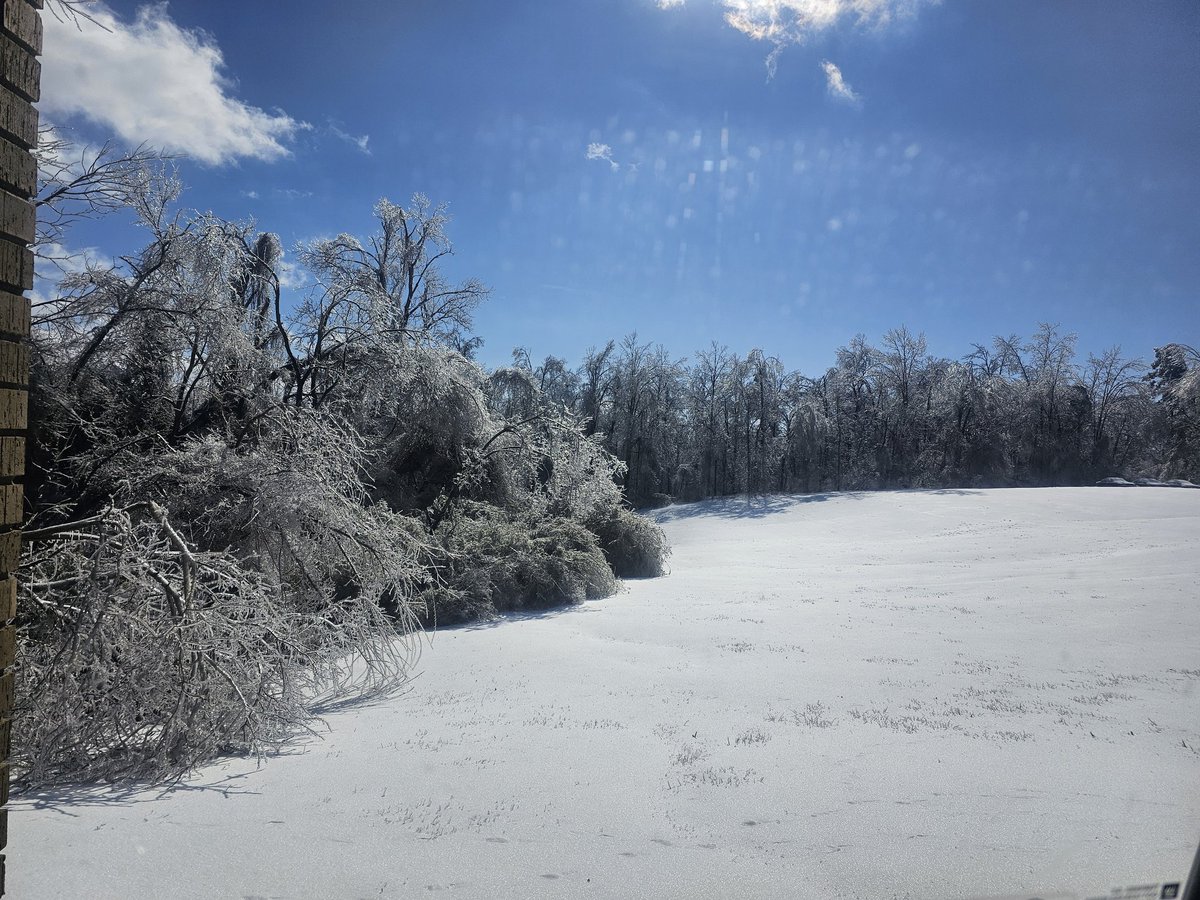 LaCambrise Pope tweet media