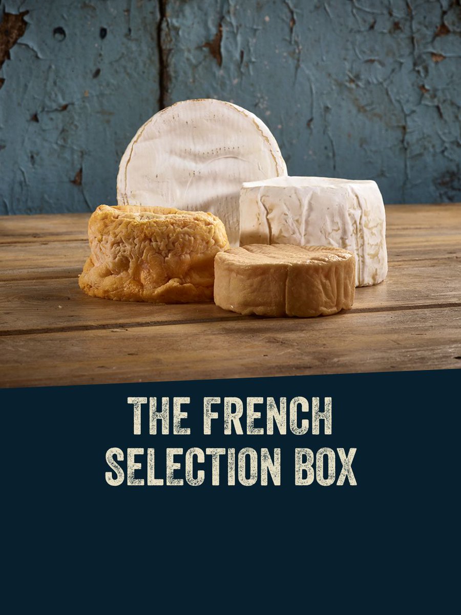 Pong Cheese tweet media