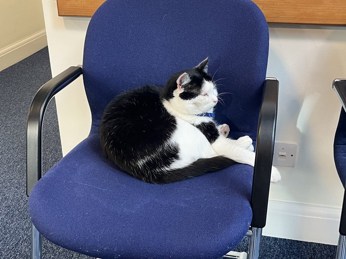 Bryngles's tweet photo. cat at the doctor’s
what is his ailment https://t.co/iasQNr1niJ