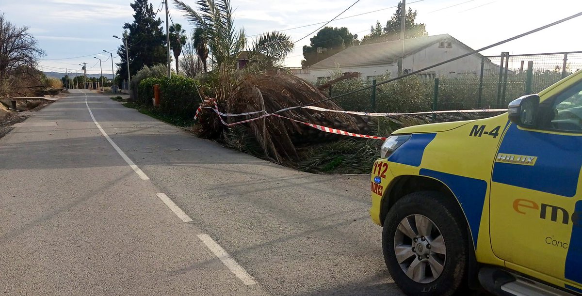 Los equipos del servicio de emergencias municipal, atendiendo las diversas incidencias que el viento está causando en nuestro municipio.