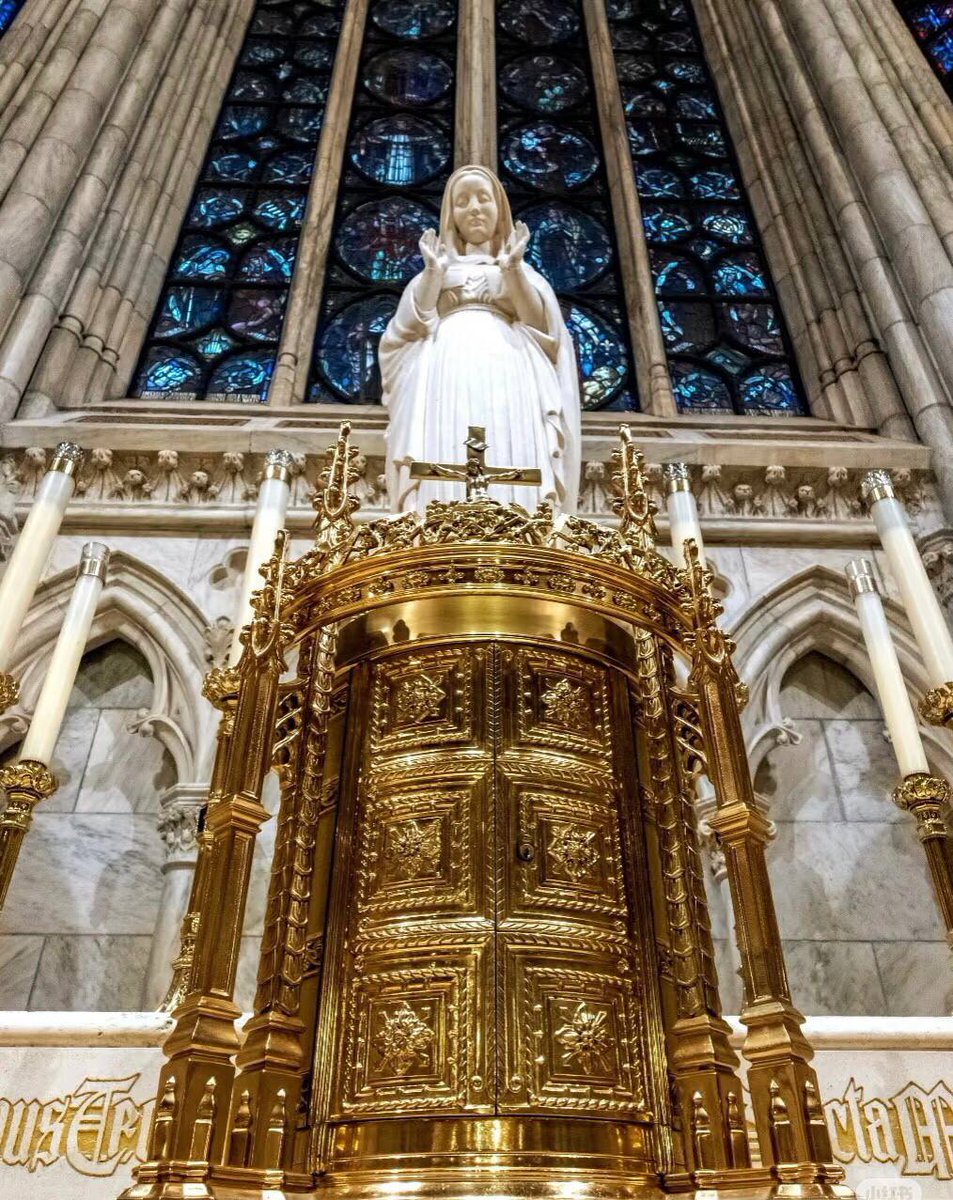ZueZue778798's tweet image. Feeling inspired by the stunning architecture and serene atmosphere of this beautiful cathedral. 🕊️✨ A true masterpiece of art and faith! What places bring you peace? 🙏🏼💖
#CathedralViews
#SacredSpaces
#ArchitectureLovers
#Serenity
#SpiritualJourney
#FaithAndArt
#InstaTravel