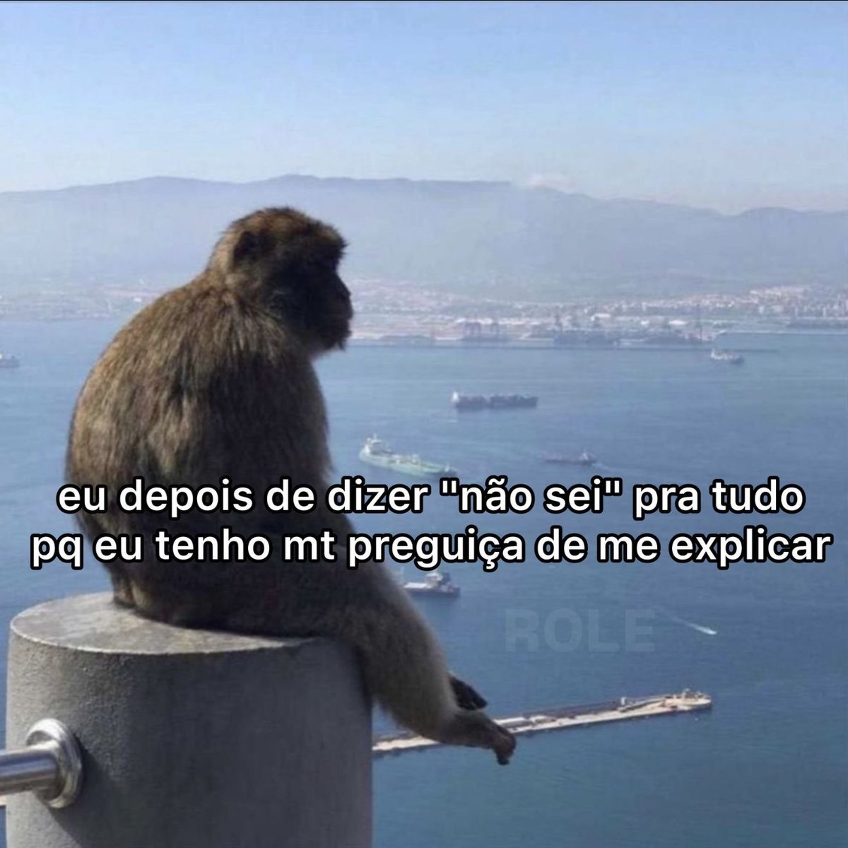 Trouxinha (@euovitinn) on Twitter photo 