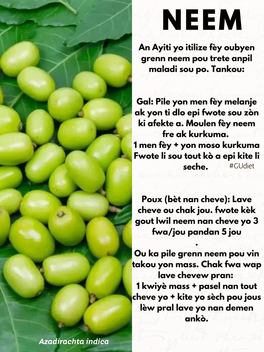2 nan byenfè pyebwa " Neem" genyen: yo itilize fèy oubyen grenn yo pou trete "Gal" ak "Pou" (tibèt nan cheve). #GUdiet