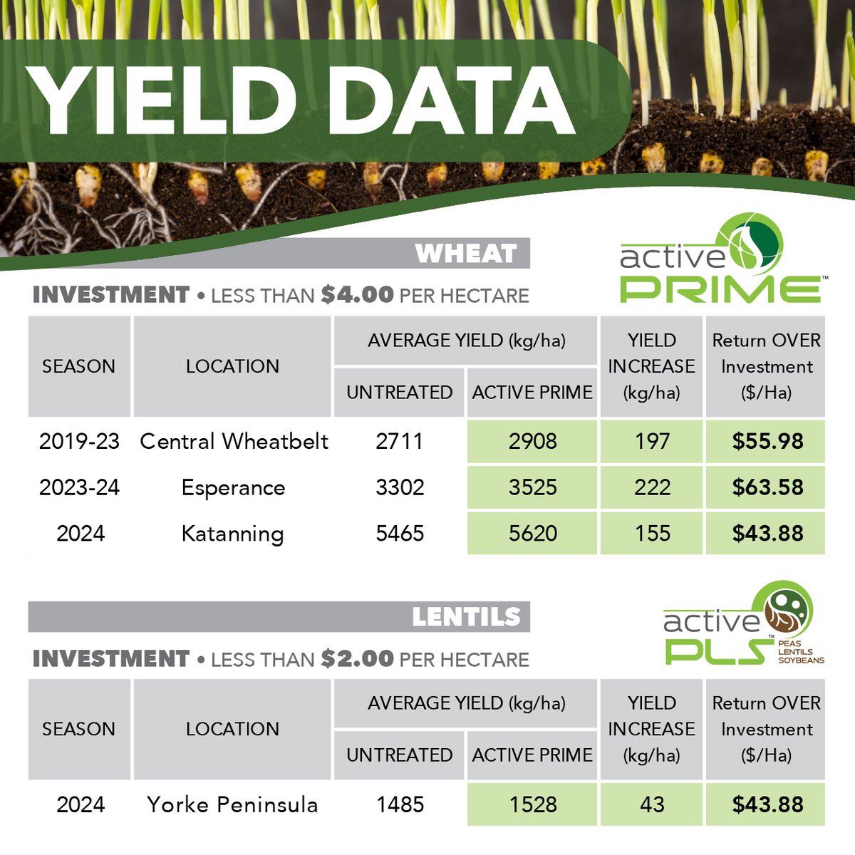 ActiveAgriAUS's tweet photo. Give your crop the strongest start with Active AgriScience seed &amp; in-furrow nutrition!

✅ Faster germination &amp; stronger roots
✅ Supports legumes &amp; N fixation
✅ Early growth with targeted nutrients

Learn more: https://t.co/6GTxHnO5zN https://t.co/HK5DiUjL2j