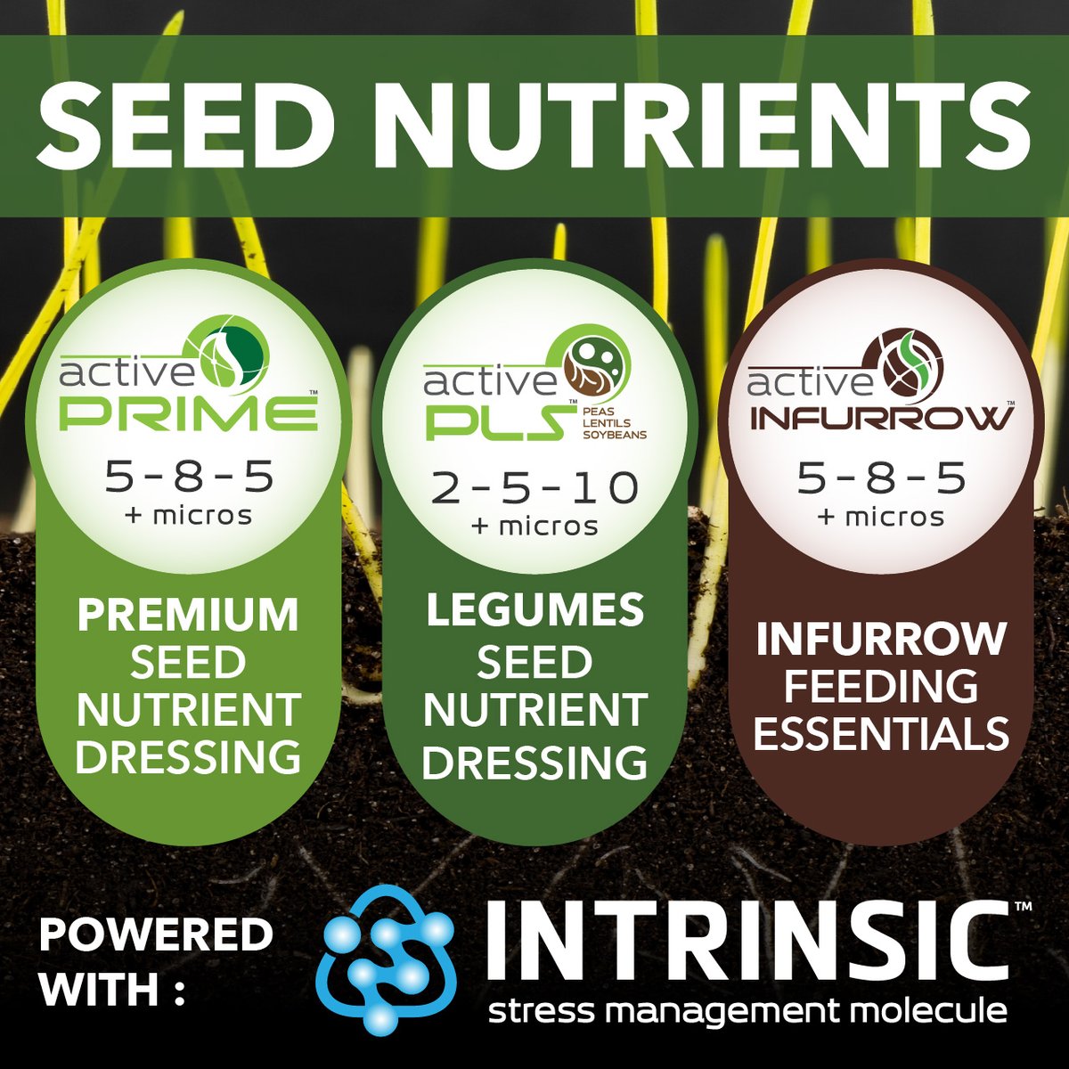 ActiveAgriAUS's tweet photo. Give your crop the strongest start with Active AgriScience seed &amp; in-furrow nutrition!

✅ Faster germination &amp; stronger roots
✅ Supports legumes &amp; N fixation
✅ Early growth with targeted nutrients

Learn more: https://t.co/6GTxHnO5zN https://t.co/HK5DiUjL2j