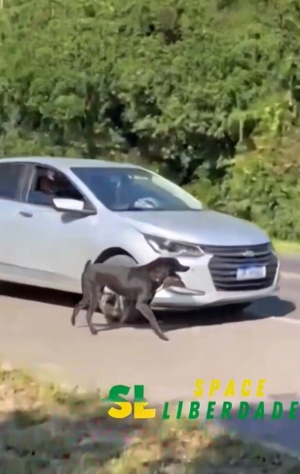 Cássio Oliveira tweet media