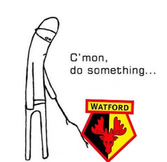 Ryan 🐝🐝🐝 tweet media