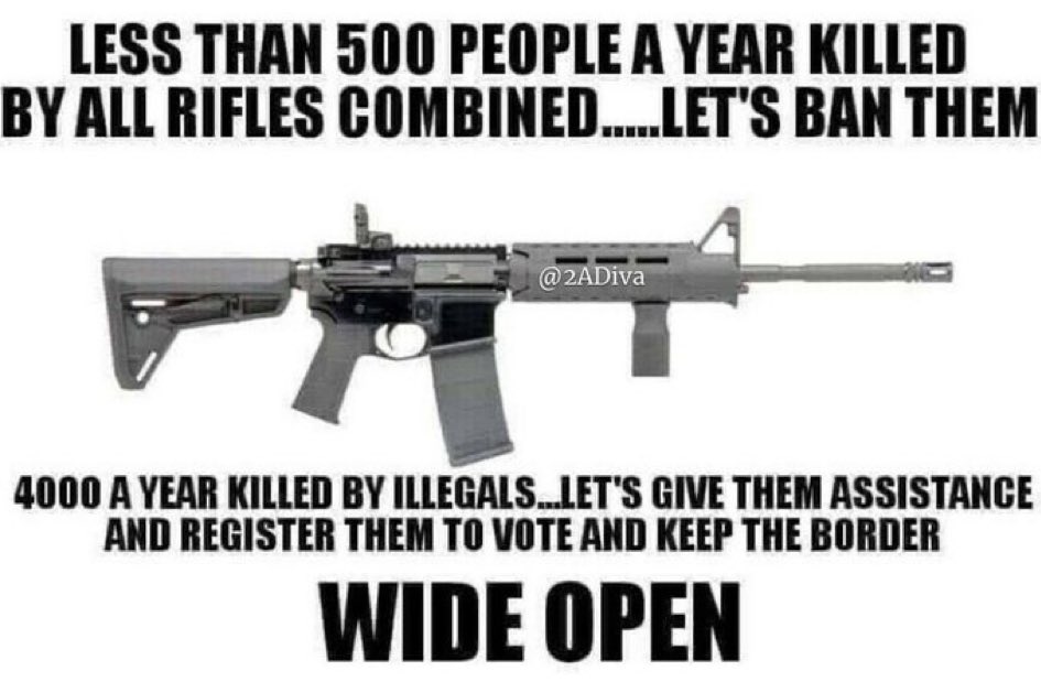 AVGirl4Life's tweet image. I would like to hear from just one liberal on why we should ban rifles?
