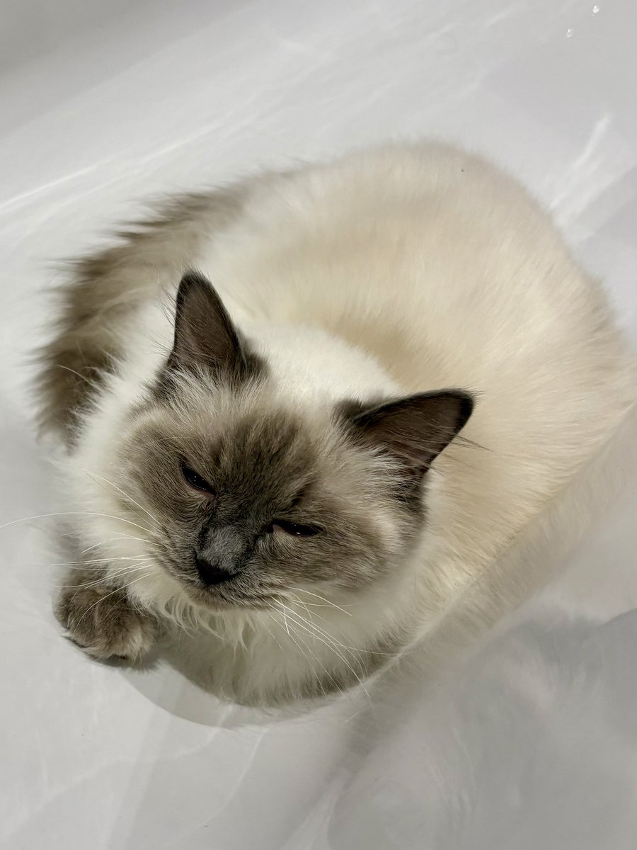 Susannah 💜💕 🤘📸🌼🥀🍝📝🌳 tweet media