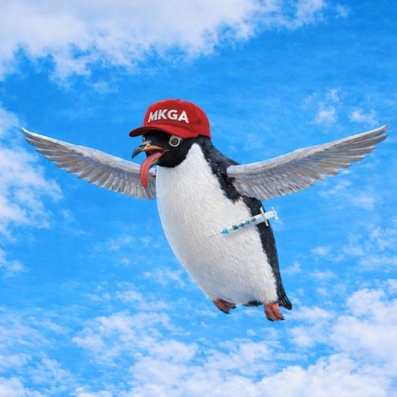 FlyKetPenguin's tweet photo. Make Ketamine Great Again (MKGA) $FKPenguin 💉 https://t.co/MDngUNnOmg