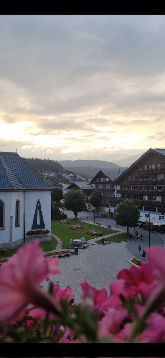 أبو عمر tweet media