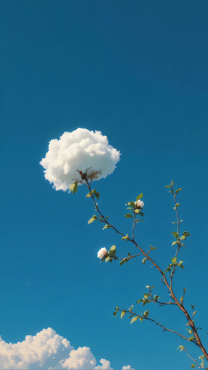 Universal4karts's tweet photo. ☁️🌴 https://t.co/gWdc9JlNMw
