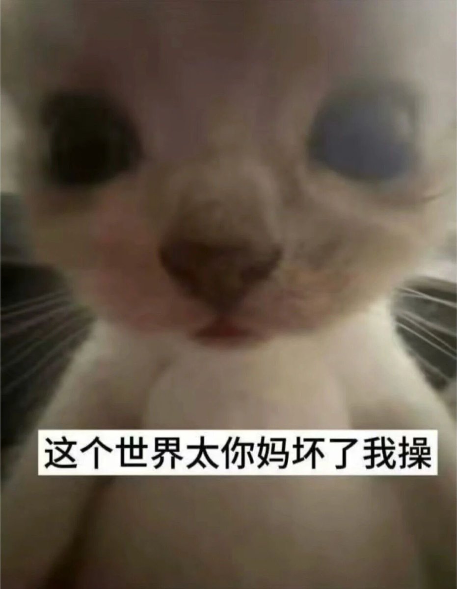 当年是哪个傻逼在av网站放gay片的，我操你妈。