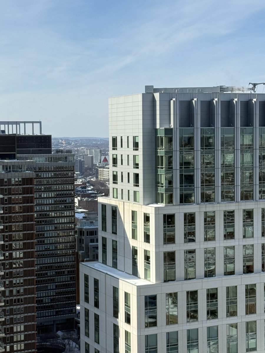 Bederow Law tweet media