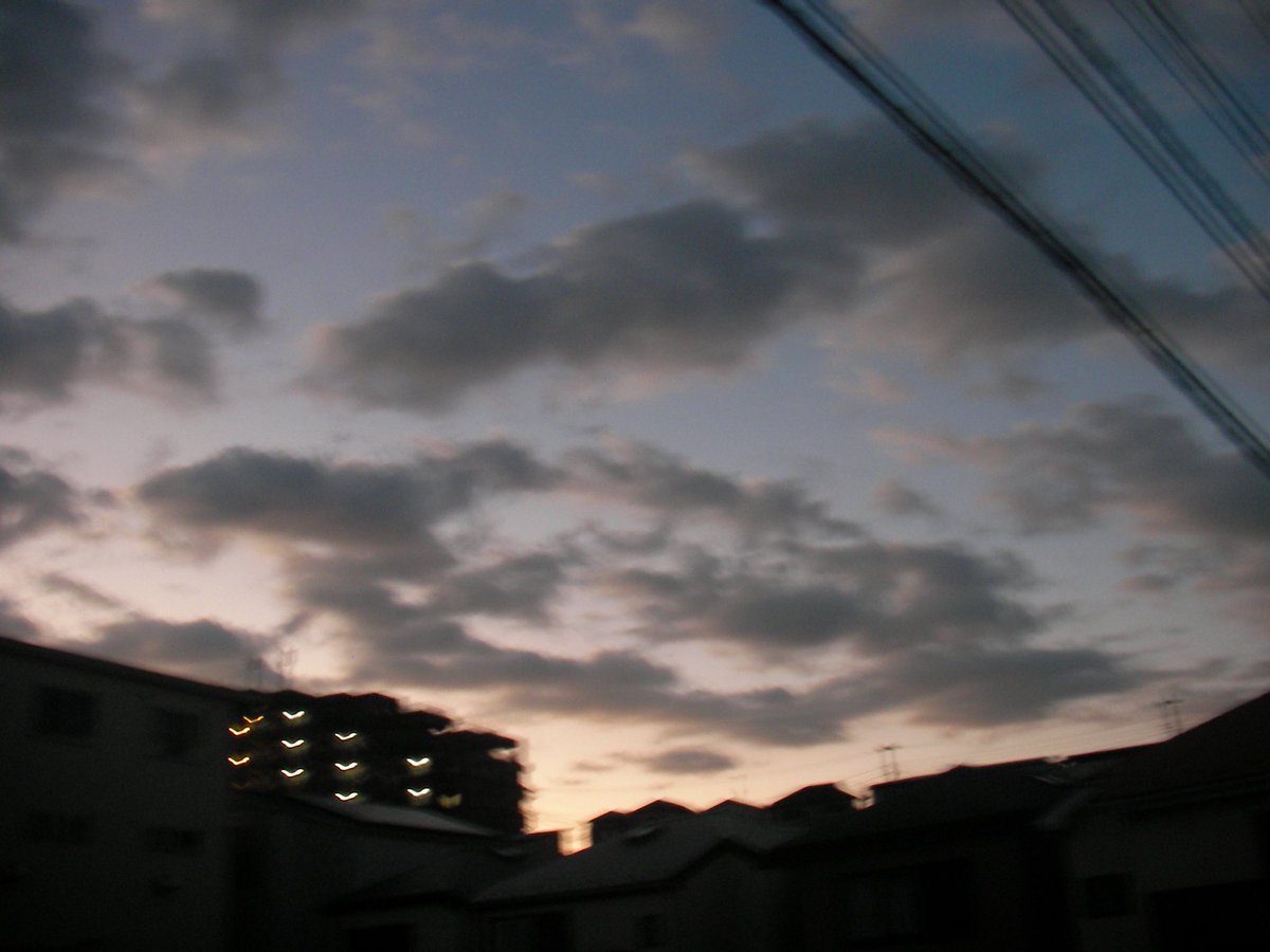 mmt_r_'s tweet photo. 言葉にならない愛情って、実は全部写真に写ってたりして https://t.co/Pa4COarFmC