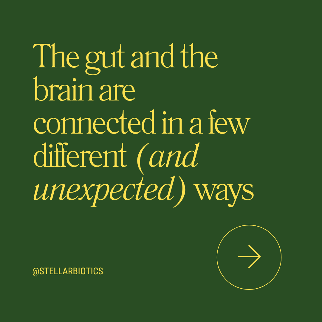 stellarbiotics's tweet photo. If you’ve ever used the expressions “gut feeling” or “butterflies in my stomach,” you may have thought you were being entirely figurative. But these phrases hint at a very real and fascinating connection between your digestive system and brain called the gut-brain axis.

Now, what is the gut-brain axis? Simply put, it’s a highly intricate two-way communication system linking your gut and brain. The main players in this arrangement are the central nervous system (CNS), the enteric nervous system (ENS) in your gut, and your gut microbiota—the trillions of microorganisms living in your digestive tract.

Read more on the blog: https://t.co/UJY5hvHfzz 

Support your gut-brain connection with our Connect+ bundle. Your brain and gut are connected. Your biotics should be too. Shop now: https://t.co/gX9dOj2Z2D