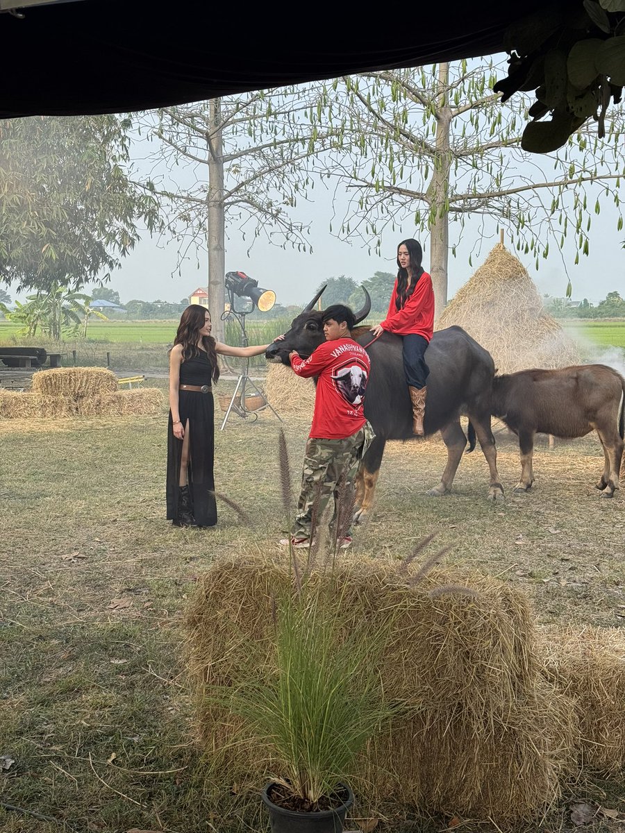 sonyasarann's tweet image. แก๊งๆๆ🩷😚😆

NEW ERA WITH LMSY
#CHANGEVERSE2026
#ลูกหมีซอนญ่า #LMSY 
#SonyaSaranphat 
#LMlookmhee