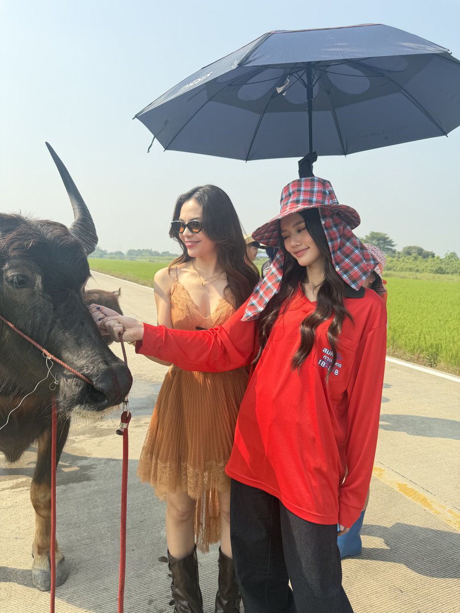 sonyasarann's tweet image. แก๊งๆๆ🩷😚😆

NEW ERA WITH LMSY
#CHANGEVERSE2026
#ลูกหมีซอนญ่า #LMSY 
#SonyaSaranphat 
#LMlookmhee