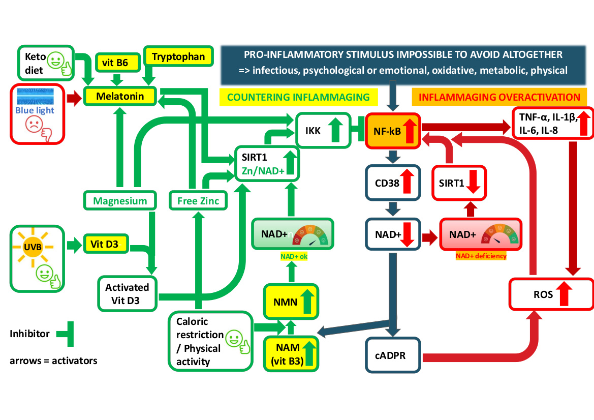 Polyvalan - Crystallophore tweet media