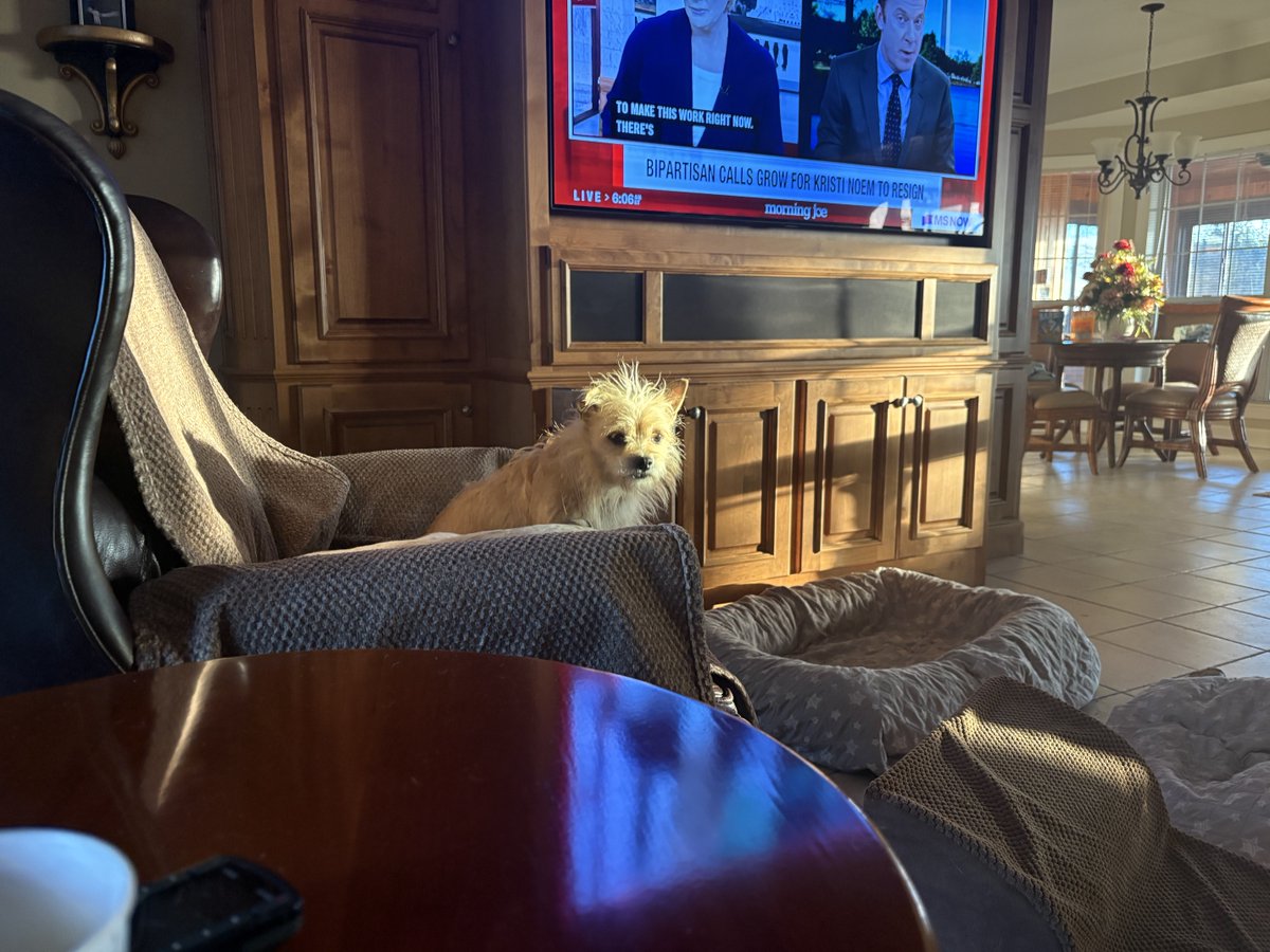 “I have bed head all day.”🥰