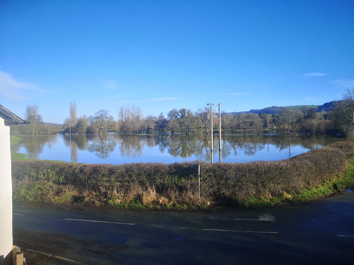 Michael Millar tweet media