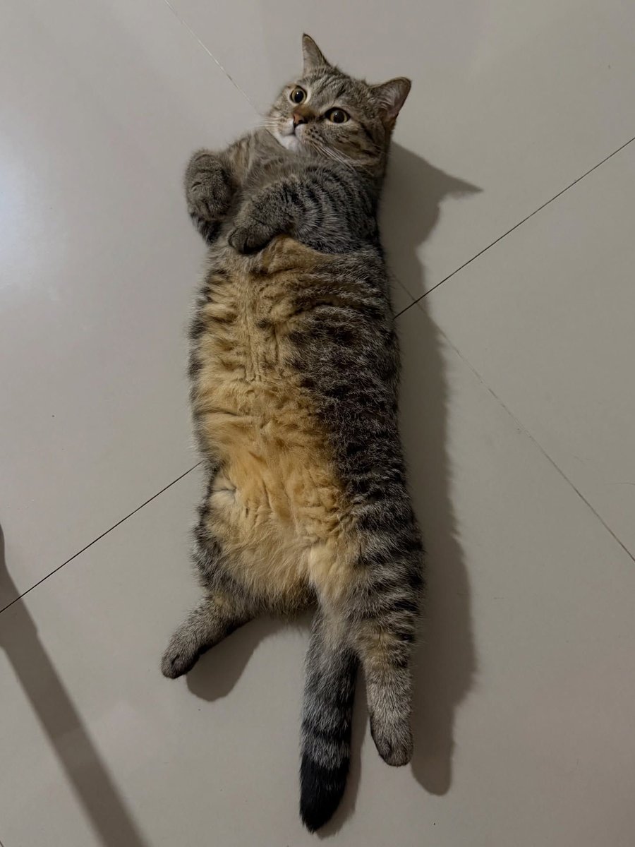 Simba Saekkiya tweet media
