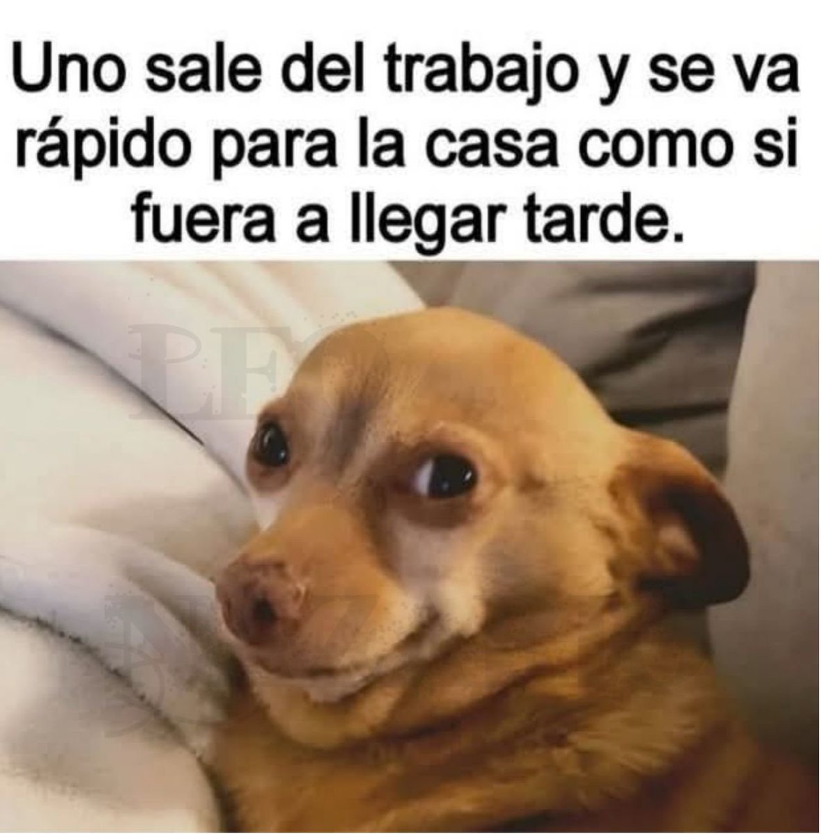 RincnCuriosoo's tweet image. Como debe de ser 😌