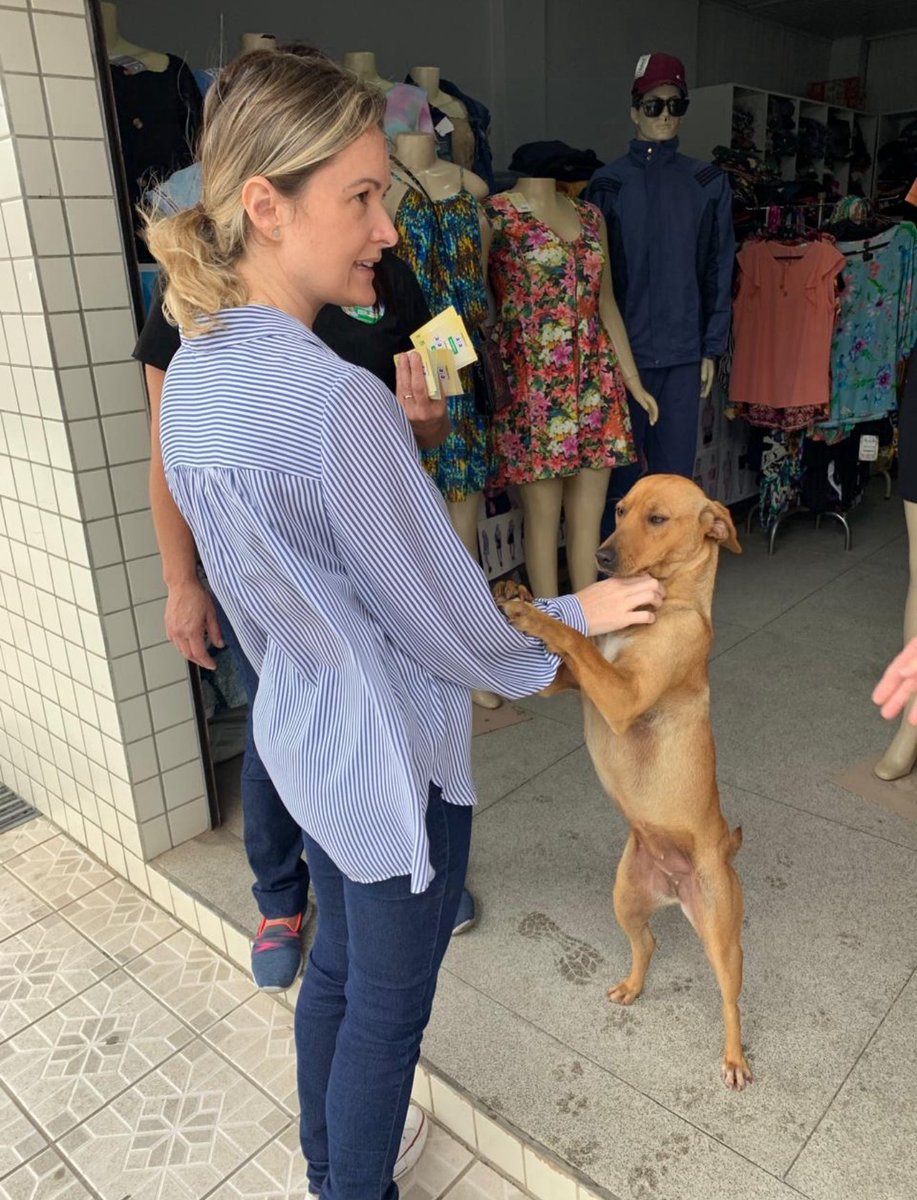 O caso do Cão Orelha e o caso do estupro e assassinato de uma jovem. 

Vocês lembram quando Jair Bolsonaro ainda deputado travou uma briga com a deputada Maria do Rosário no caso Xampinha? 

Pois é! Lá JB já lutava pela redução da maioridade penal. 

Xampinha estuprou e matou,