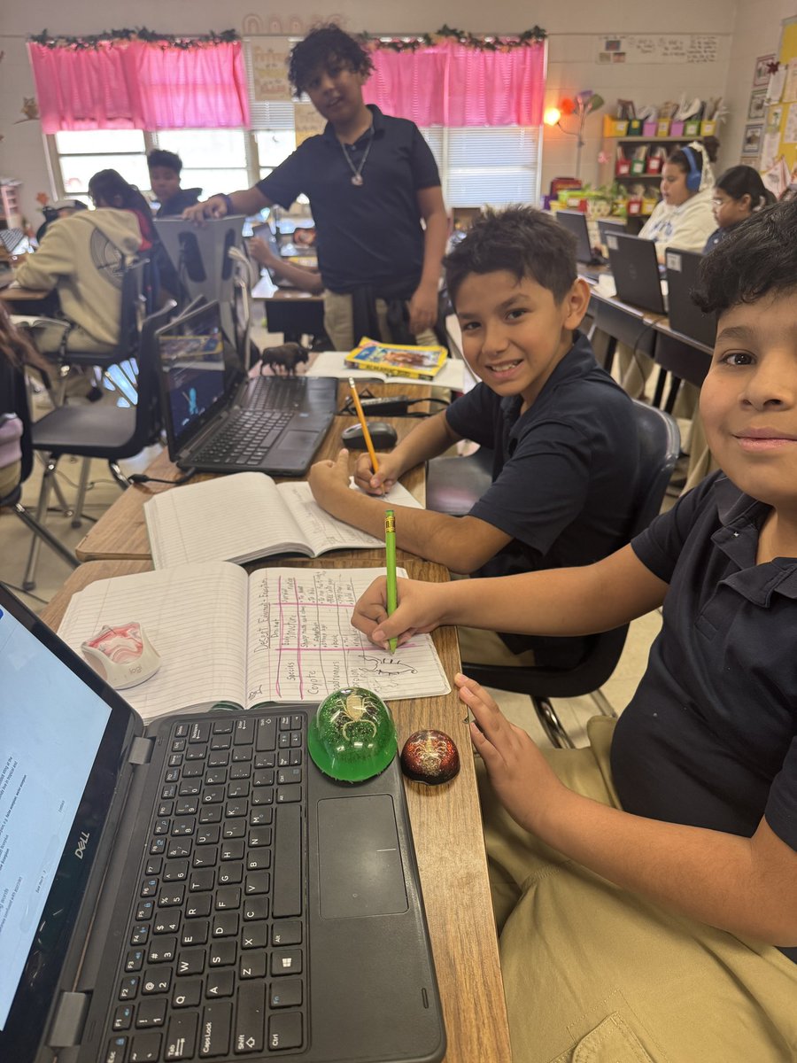 Maria Natera tweet media