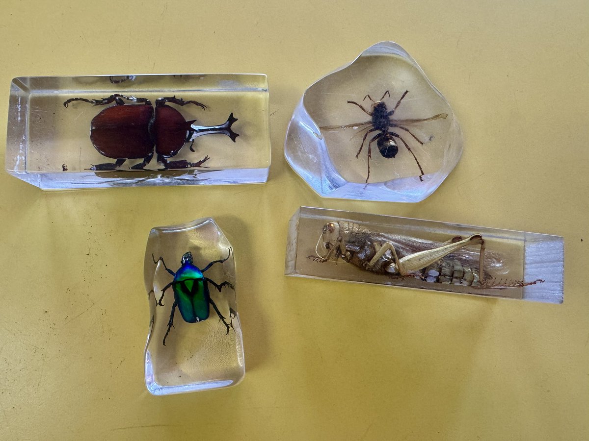 Maria Natera tweet media