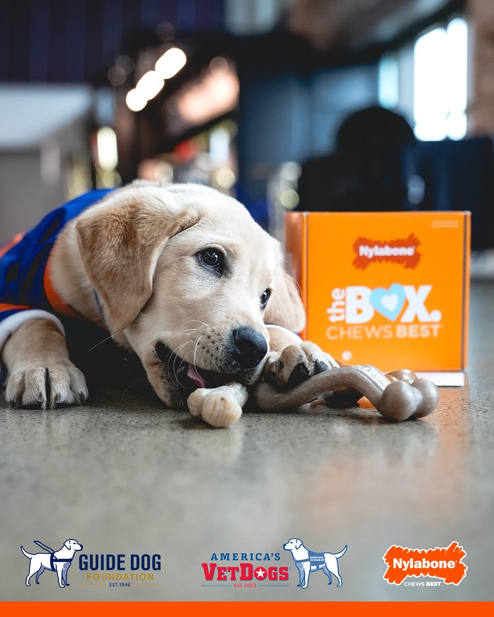 Nylabone Products tweet media