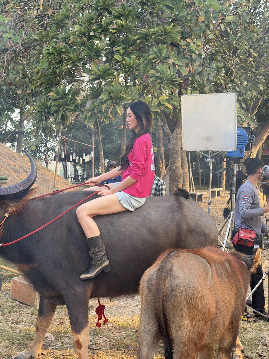 Lookmheewang's tweet image. ย้อนไปวันถ่าย pilot 🐃

NEW ERA WITH LMSY  
#CHANGEVERSE2026 
#ลูกหมีซอนญ่า #LMSY