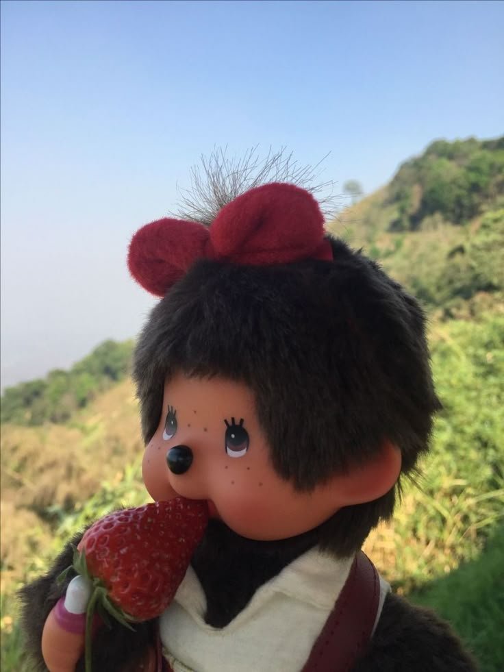 Touching grass, eating strawberries, not checking the chart for 5 minutes.