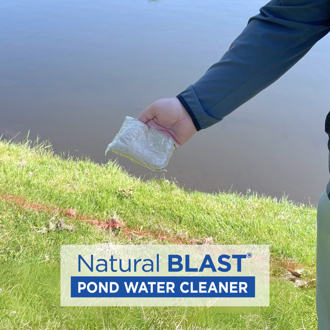 Healthy Ponds tweet media