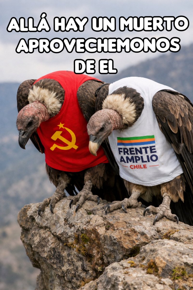 Julia Chuñil ya no le sirve al Partido comunista ni al FA. Deberan buscar a otro tonto util, similar a Gatica o a la Jara.👇