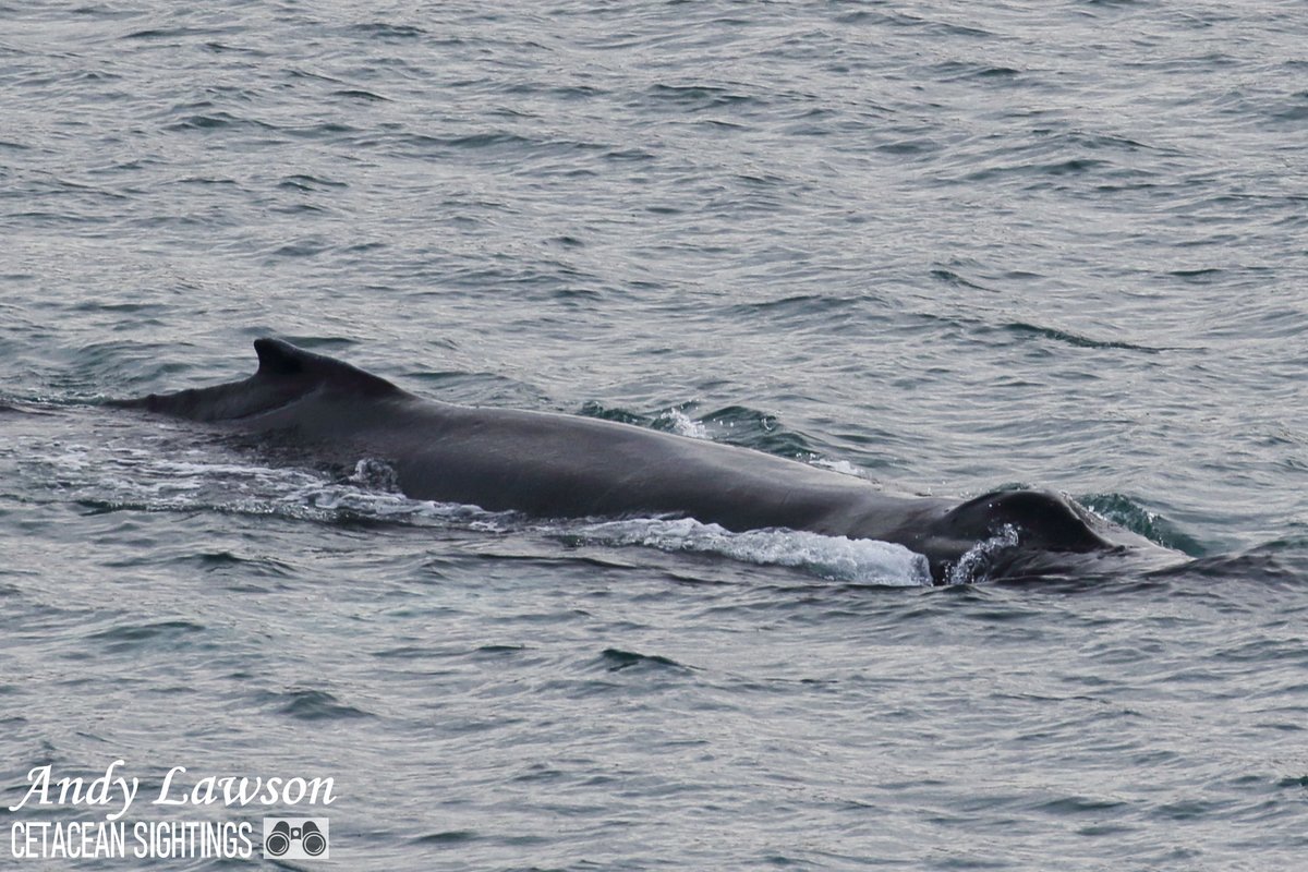 Andy Lawson tweet media