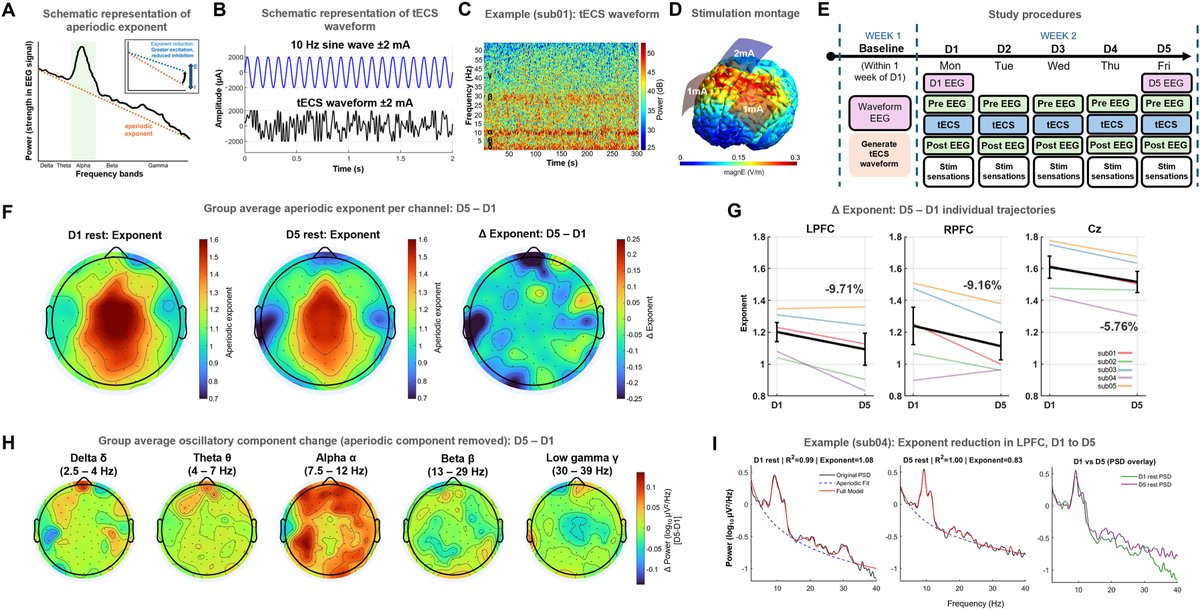 Brain Stimulation tweet media