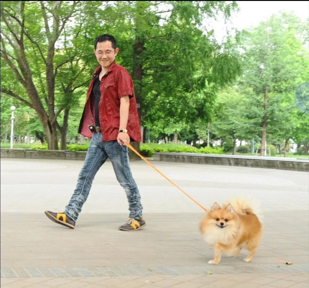 eewilliams555's tweet image. The fact that shu takumi loved his doggie so much, that the little guy is in almost every one of his games 🥹🫶
 (I love missile)