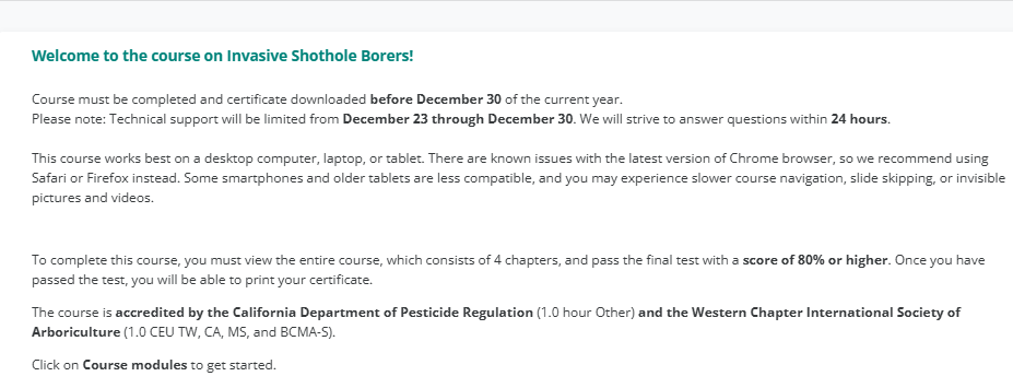 Shothole Borers in California tweet media