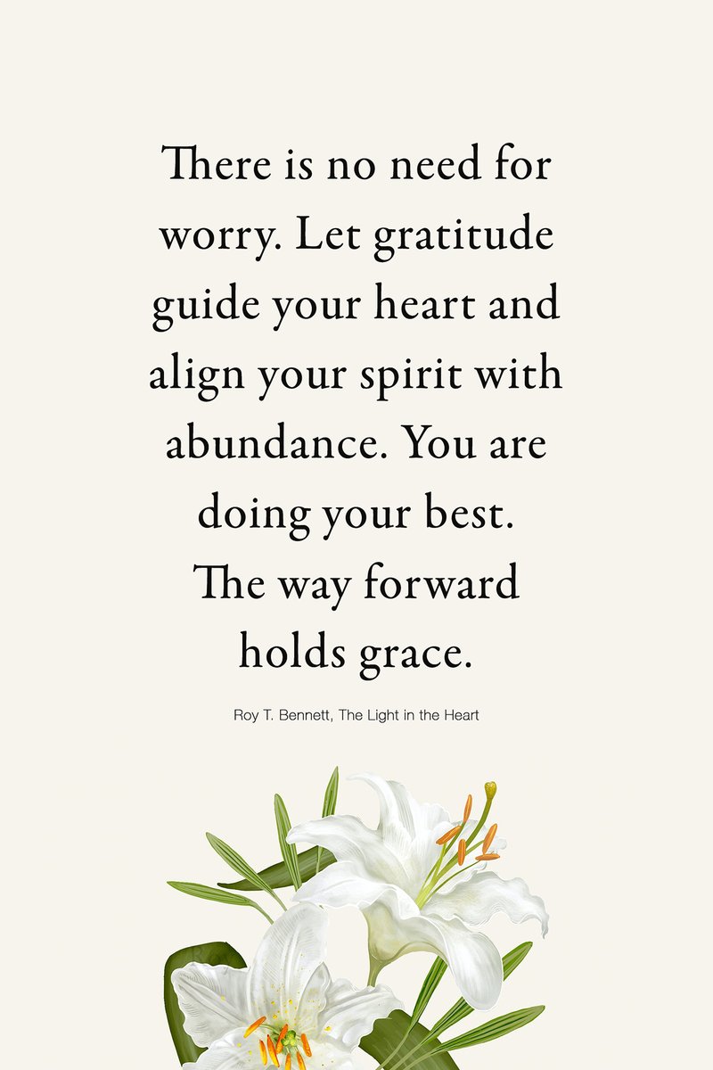 There is no need for worry. Let gratitude guide your heart and align your spirit with abundance. You are doing your best. The way forward holds grace.
Roy T. Bennett, The Light in the Heart